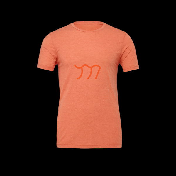 Unisex Premium Crew Neck T-Shirt | Bella + Canvas 3001