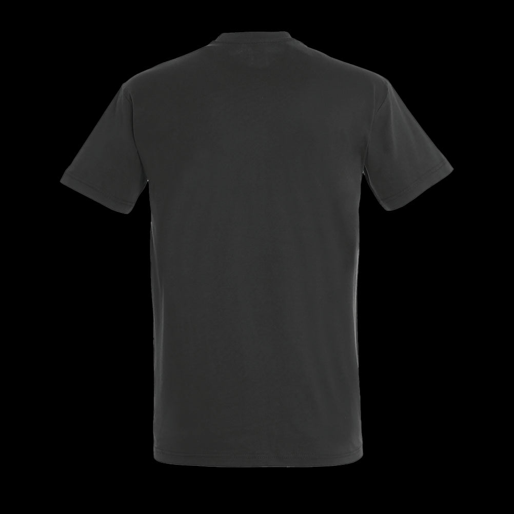 Men's Basic T-Shirt | Sol's Imperial TEST ANAL
